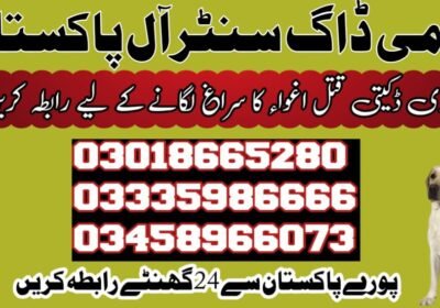 1000016282-2
