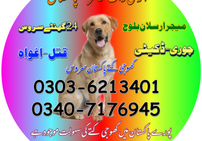 1707557054066