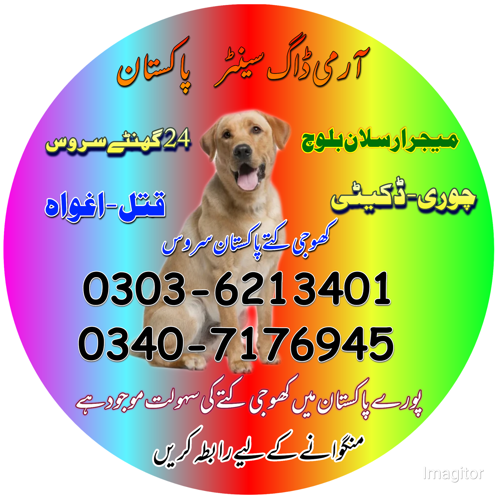 Khoji Dog In Sargodha Cantt 03036213401 | Khoji Kutta
