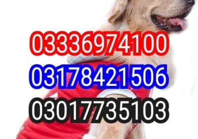 1723609144341