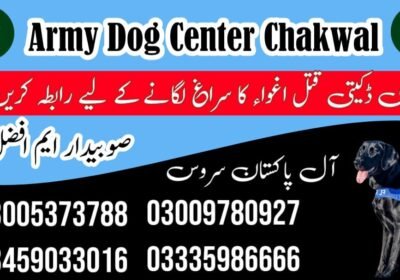 WhatsApp-Image-2024-09-01-at-6.01.27-PM-2