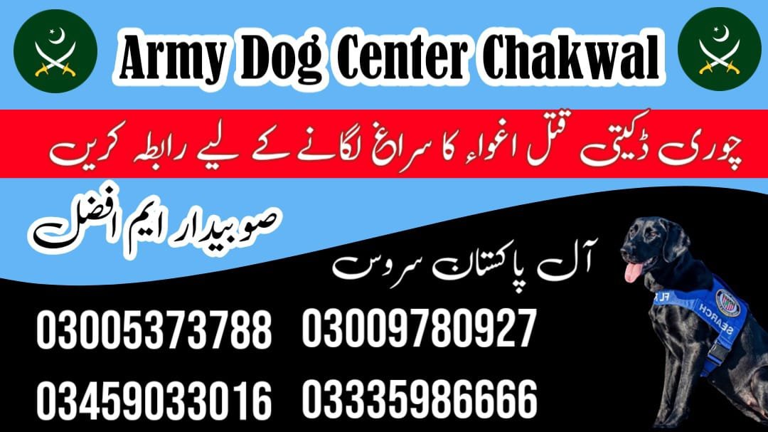 Army Dog Center Chakwal | 03458966073 | Searching Dogs