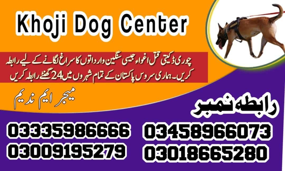 Army Dog Center Mandi Bahauddin 03018665280 | کھوجی ڈاگ