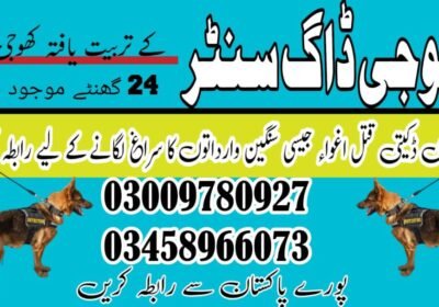 WhatsApp-Image-2024-09-01-at-6.02.21-PM-1