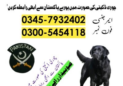 square-1-1-1726366004121