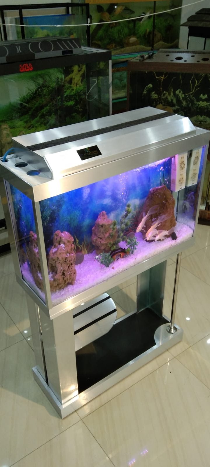 Silver transformers aquarium