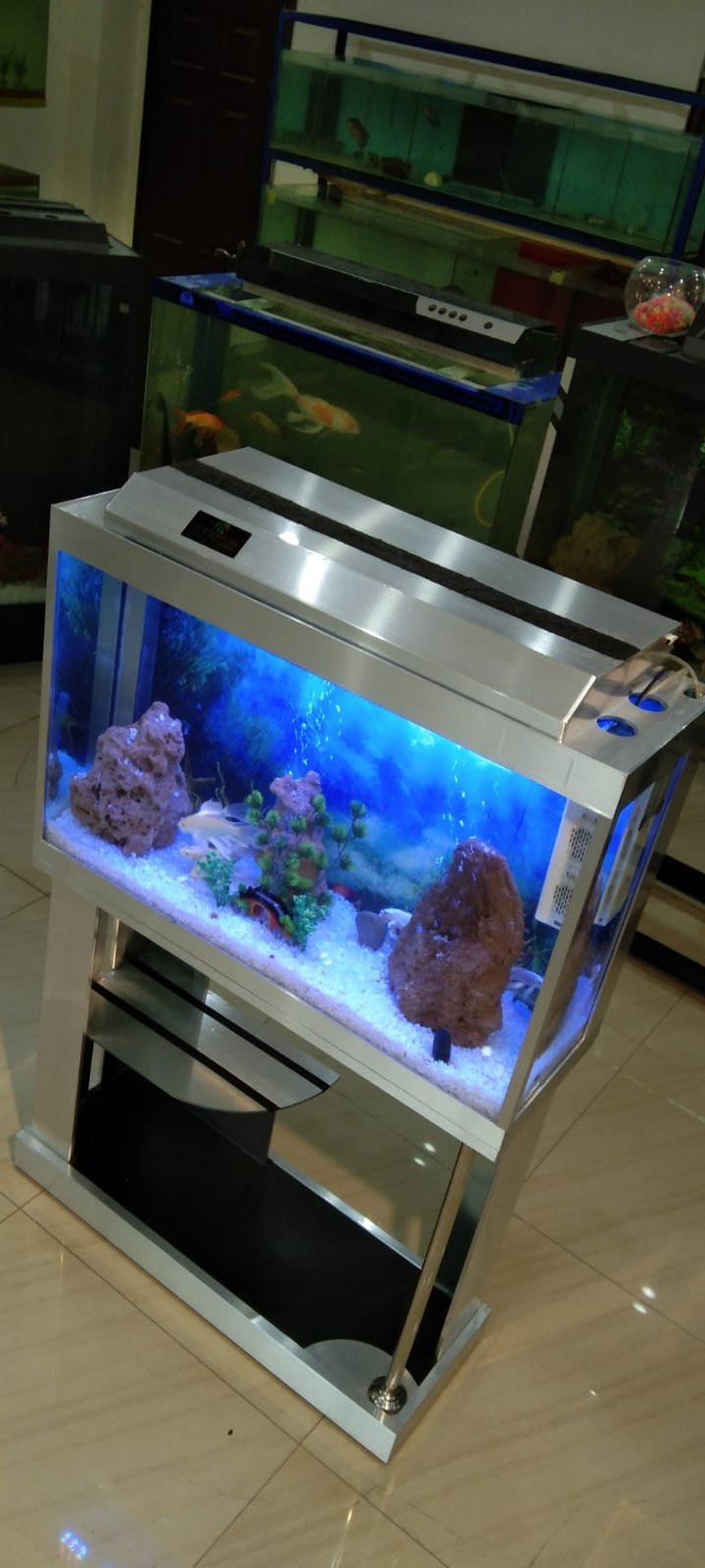 Silver transformers aquarium