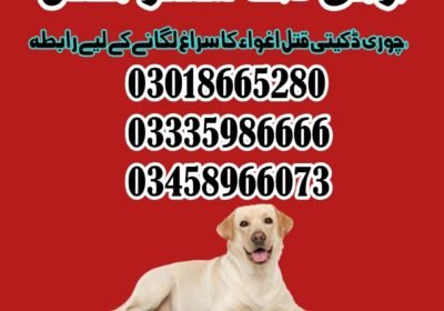 WhatsApp-Image-2024-06-10-at-21.56.47_e666cf02
