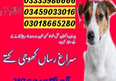 WhatsApp-Image-2024-06-12-at-12.53.18_2352b0f6