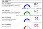 New Features Online Medical Lab Software – Run from any Comp