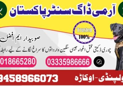 WhatsApp-Image-2024-09-01-at-6.02.15-PM-3