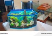 Blue heaven aquarium