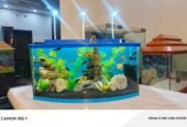 Blue heaven aquarium