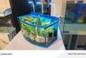 Blue heaven aquarium
