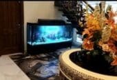 Monster tank fancy aquarium