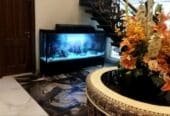 Monster tank fancy aquarium