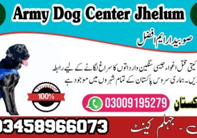WhatsApp-Image-2024-09-01-at-6.01.45-PM-2