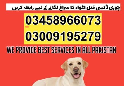 WhatsApp-Image-2024-09-01-at-7.29.22-PM-1