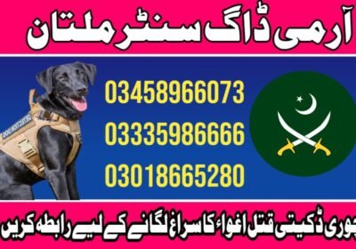 WhatsApp-Image-2024-10-18-at-20.21.07_8ed0d58a