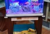 Aquarium+vivarium