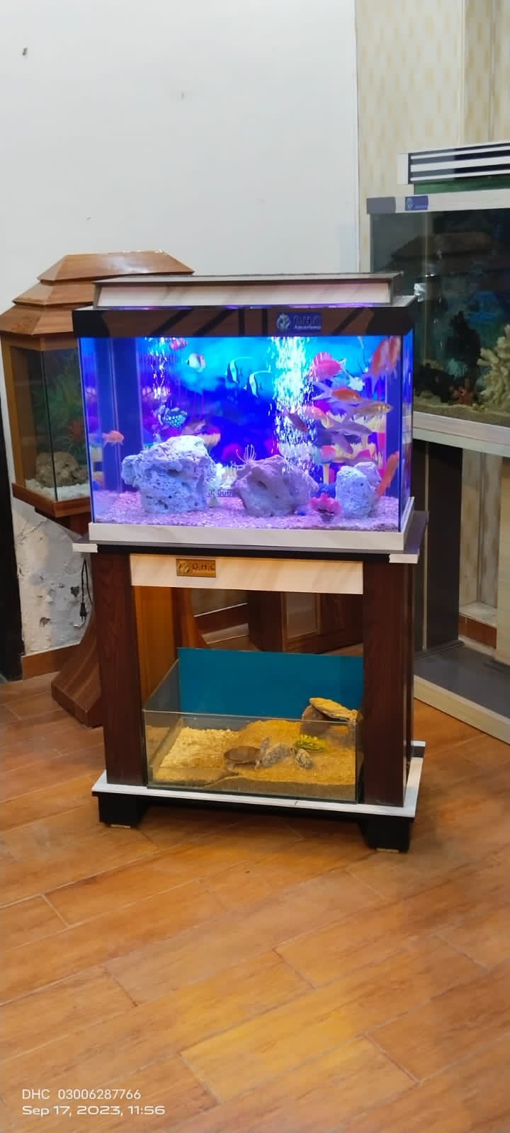 Aquarium+vivarium