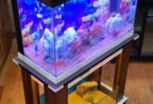 Aquarium+vivarium