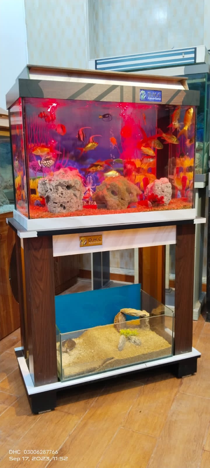Aquarium+vivarium