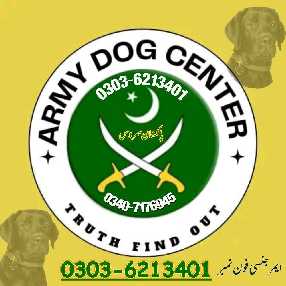 Army Dog Center Chakwal 03036213401 | Khoji Dogs Chakwal