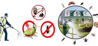 Fumigation & Pest Control Services