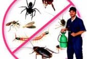 Fumigation & Pest Control Services