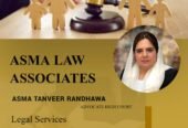 Property, Banking, Family, Cyber, Nadra Lawyer