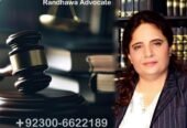 Property, Banking, Family, Cyber, Nadra Lawyer