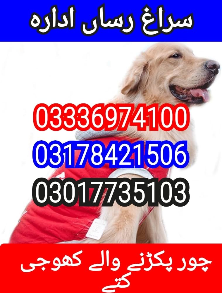 Army Dog Center Hydrabad03010417477