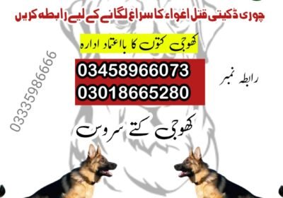 1000005731-2