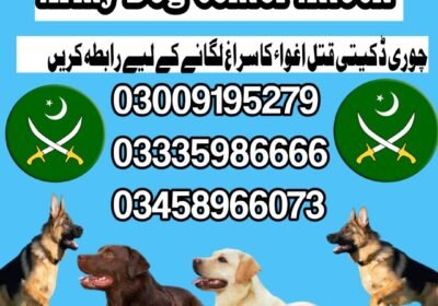 square-1-1-1738433043816