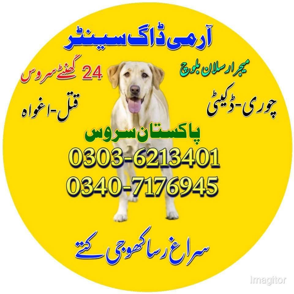 Army Dog Center Mardan 03036213401 Khoji Dogs Mardan