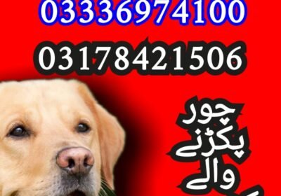 1750308626137