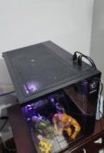 Msi Pag Pano m100L for sale