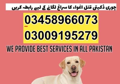 WhatsApp-Image-2024-09-01-at-7.29.22-PM