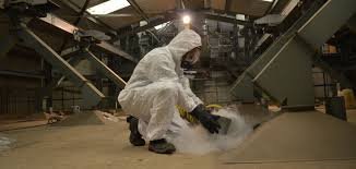 PestKillr – Pest & Termite Control Services in Lahore