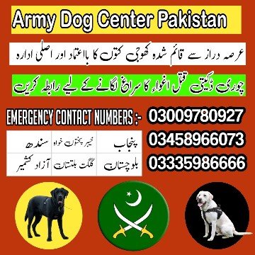 Army dog center 03009195279