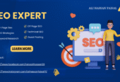 Ali Hassan Faisal – SEO Expert