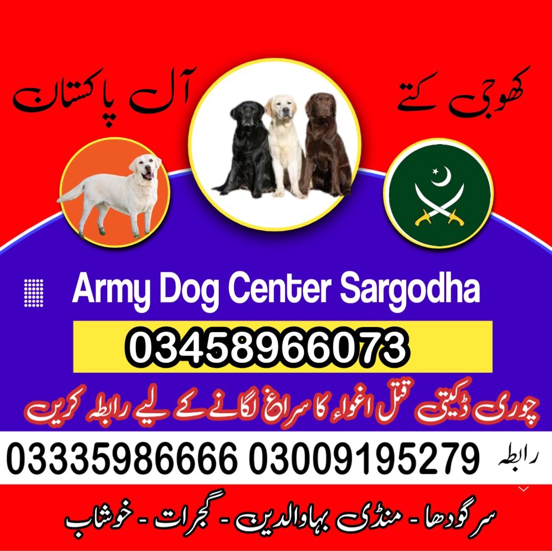 Army dog center Sargodha 03009195279