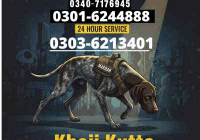 2741