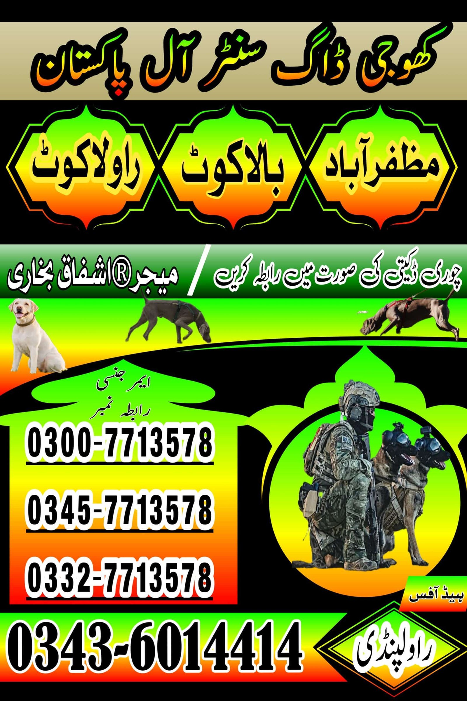 Khoji Dog Rawalpindi Contact Number 0300-7713578
