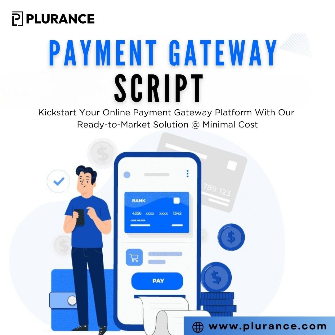 Payment Gateway Script – Budget-Friendly Solution for Fintec