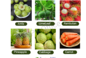 Vege delight