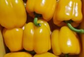 Vege delight