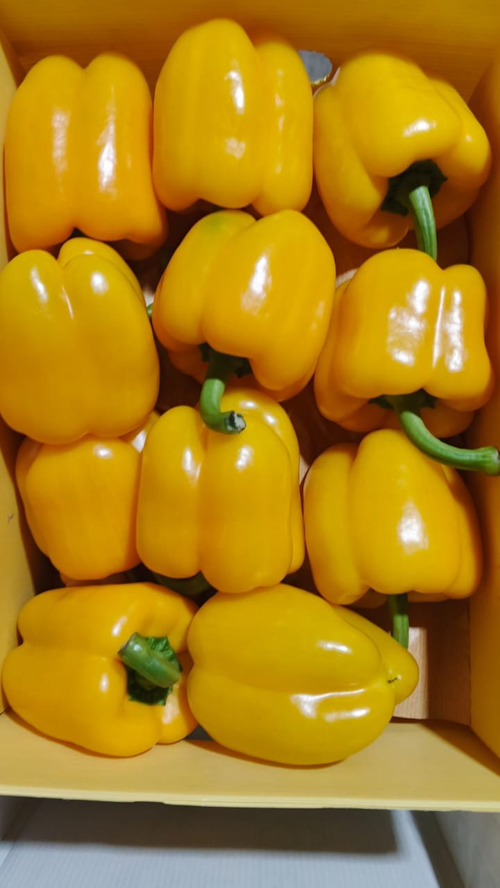 Vege delight