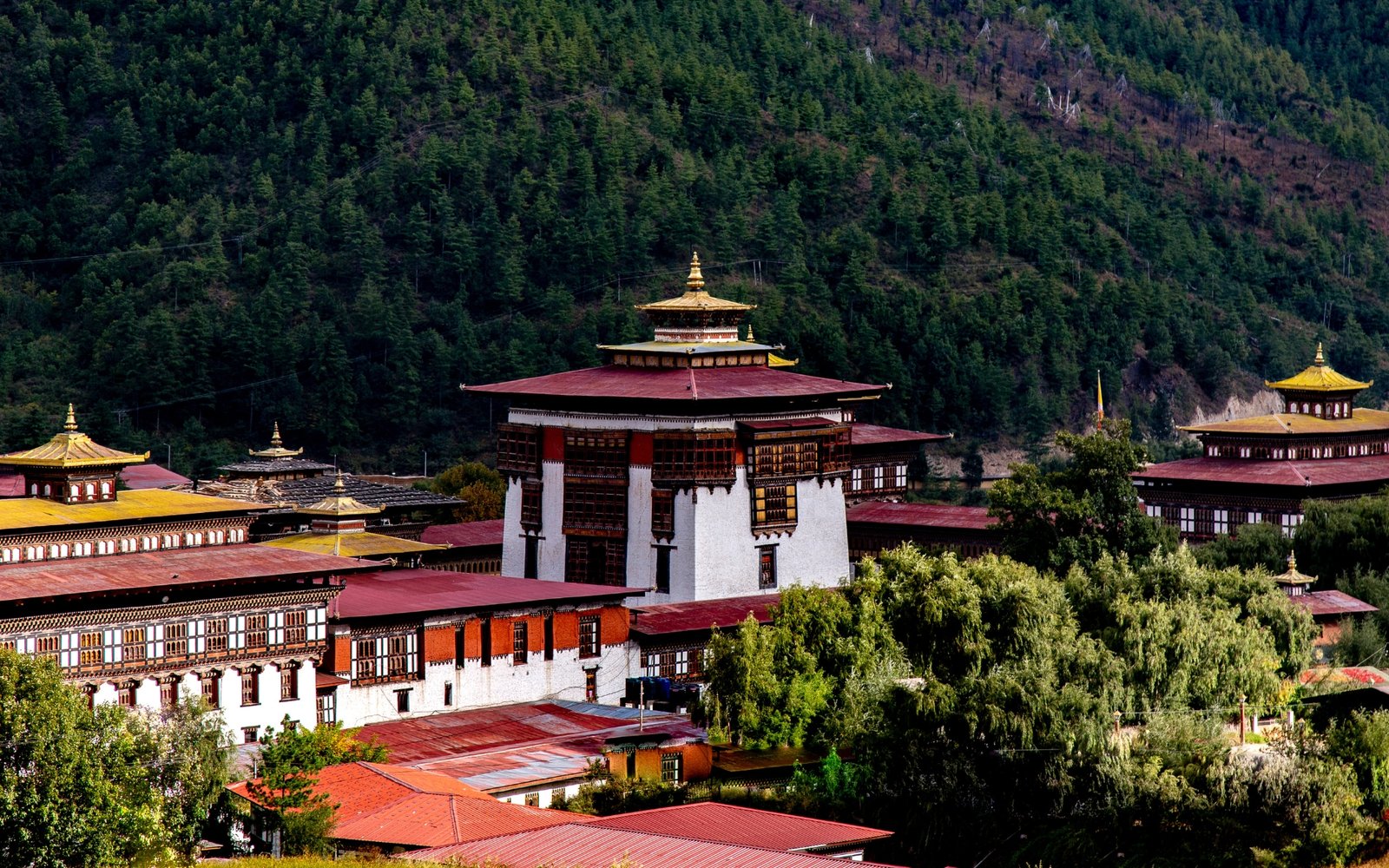 Solo Trip to Bhutan – Budget Packages Available!